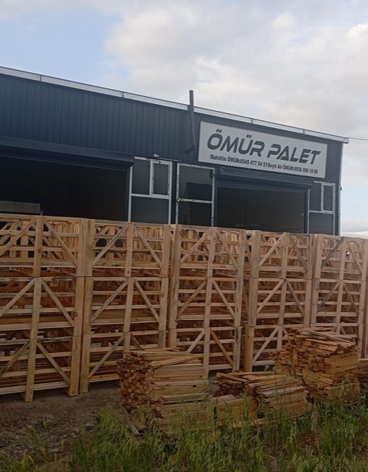 Daday Tahta Palet